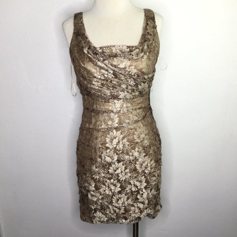 Express Floral Lace Dress Brown Size 6
